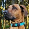 See Pictures of Penny