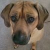 See Pictures of Abby