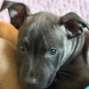 See Pictures of Bonnie