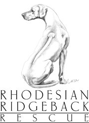 Rhodesian Ridgeback Rescue, Inc., Logo